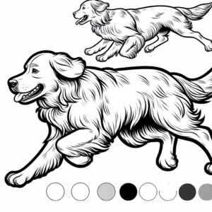 Coloring page of a Golden Retriever dog, brave protector running in a park