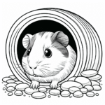 Coloring page of a cavy, playful pet peeking from a tunnel