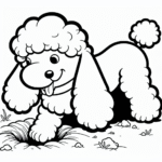 Coloring page of a Poodle dog, energetic pup digging a hole