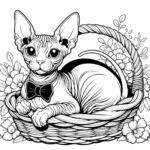 Coloring page of a Sphynx cat, playful hunter curled up in a basket