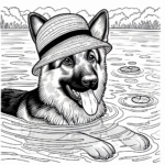 Page à colorier d’un chien Berger Allemand, explorateur curieux nageant dans un lac