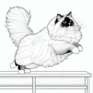 Coloring page of a Ragdoll cat, graceful feline jumping onto a shelf