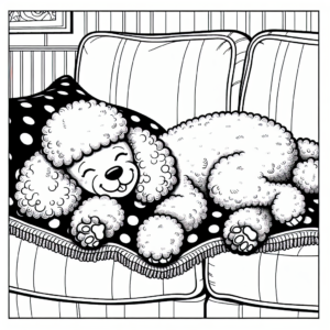 Coloring page of a Poodle dog, playful friend sleeping on a couch
