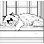 Coloring page of a Ragdoll cat, lazy napper stretching on a windowsill