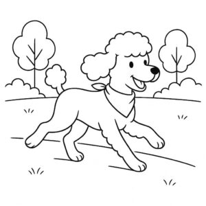 Coloring page of a Poodle dog, energetic pup running in a park