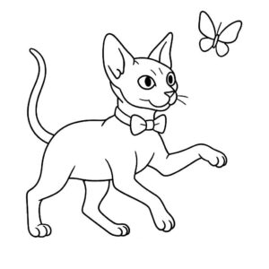 Coloring page of a Sphynx cat, playful hunter chasing a butterfly