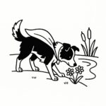 Page à colorier d’un chien Border Collie, fidèle compagnon reniflant des fleurs