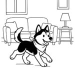 Page à colorier d&rsquo;un chien Husky, ami enjoué courant dans un parc