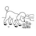 Page à colorier d&rsquo;un chien Caniche, explorateur curieux reniflant des fleurs