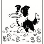 Page à colorier d’un chien Border Collie, brave protecteur attrapant un frisbee