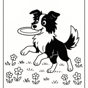 Coloring page of a Border Collie dog, brave protector catching a frisbee