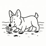 Page à colorier d’un chien Corgi, ami ludique qui sent les fleurs