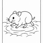 Coloring page of a little rodent, playful pet running in circles