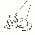 Page à colorier d’un chat Maine Coon, chasseur joueur dormant dans un rayon de soleil