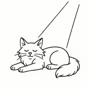 Coloring page of a Maine Coon cat, playful hunter sleeping in a sunbeam