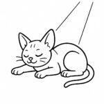 Page à colorier d&rsquo;un chat Sphynx, chasseur joueur dormant dans un rayon de soleil