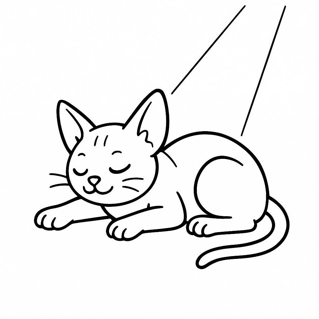 Coloring page of a Sphynx cat, playful hunter sleeping in a sunbeam