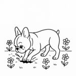 Page à colorier d’un chien Bulldog français, fidèle compagnon creusant un trou