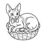 Page à colorier d’un chat Sphynx, chasseur joueur enroulé dans un panier
