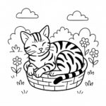 Page à colorier d&rsquo;un chat du Bengal, félin gracieux enroulé dans un panier
