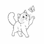 Page de coloriage d’un chat Ragdoll, un chaton espiègle qui poursuit un papillon